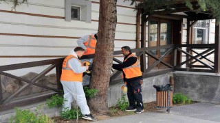 Talastan çevre dostu ilaçlama atağı