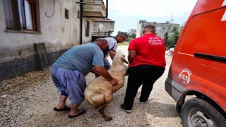 Tarsus Belediyesinden şehit ailelerine bayram desteği