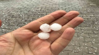 Tatvanda dolu yağışı etkili oldu