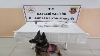 Tomarzada uyuşturucu operasyonu: 13 şüpheliden 12si tutuklandı