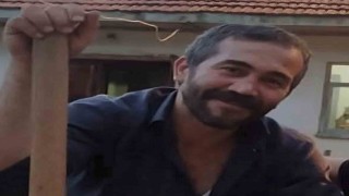 Tomruk altında kalan işçi ağır yaralandı