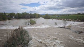 Türkiyenin en uzun nehri Kızılırmakı besleyen Yıldız Irmağı coştu