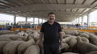 TÜRKYED Genel Başkanı Çelik: Vatandaşlarımız vekalet verdiği kurumun kurban kesimini İslami usullere uygun gerçekleştirdiğinden emin olmalıdır