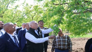 TZOB Genel Başkanı Bayraktar: Iğdırdaki kayısı bahçelerimiz dondan zarar gördü