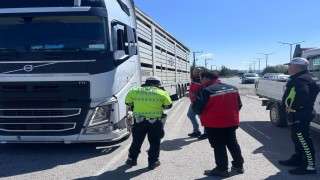 Uşakta hayvan sağlığı ve halk sağlığı için denetimler sürüyor