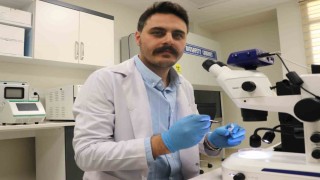Uzmanı açıkladı: Keneler hep vardı, 2002den sonra KKKA ortaya çıktı