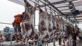 Uzunköprüde Kurban Kesim Elemanı Kursu açılıyor