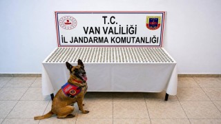 Vanda 8 İranlının midesinde 3 kilo esrar ele geçirildi