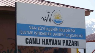 Vanda hayvan pazarında silahlı kavga: 1 ölü, 13 yaralı