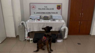Yalova merkezli 3 ilde göçmen kaçakçılığı operasyonu: 3 tutuklama