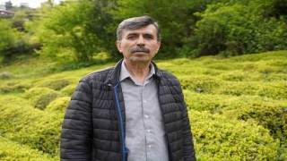 Yaş çay sezonuna sayılı günler kala üreticiler hazırlıklarını sürdürüyor