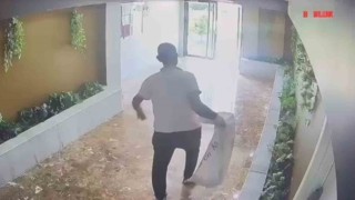 Yavru kedileri kaybolan kadın güvenlik kameralarını izleyince gözlerine inanamadı
