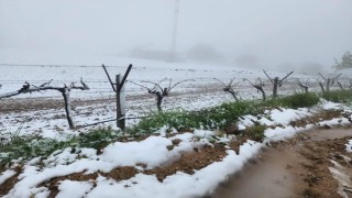 Yüksek kesimlerde ani hava değişimi üreticiyi zorladı