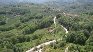 Zonguldak ormanları baharın gelişiyle dronla görüntülendi