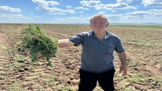 3 bin 500 dönümlük tarım arazisinin 2 ayrı kişiye kiralandığı iddiası