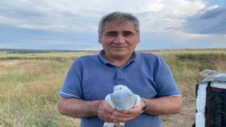 43 yıldır süren güvercin tutkusu