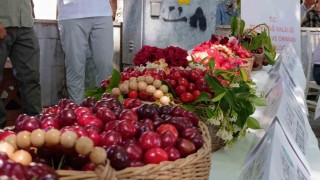 60. Uluslararası Tekirdağ  Kiraz Festivali başladı: En güzel kirazlara 60 bin lira ödül