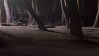 Aç kalan domuzlar Nilüfer Kent Ormanında yiyecek aradı