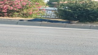 Adana'da minibüsün çarptığı yaya hayatını kaybetti