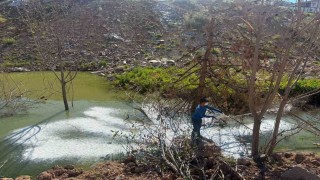 Adıyamanda sivrisinek ve haşerelere karşı ilaçlama çalışması