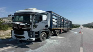 Afyonkarahisarda Aygaz marka tüp yüklü tırın motorunda yangın