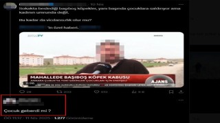 Aile sağlığı merkezindeki sedyede köpek tedavi eden doktorun skandal ifadeleri yeniden gündem oldu