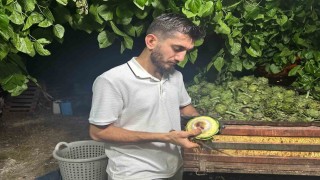 Ailecek enginar soyucular: Soyması 10 saniye sürüyor