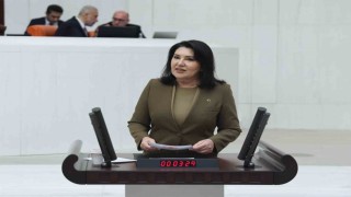 AK Parti Adana Milletvekili Karamıktan finansal okuryazarlık vurgusu