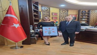 Akademisyen kardeşler Terörsüz Türkiye sürecini Avrupaya anlatacak