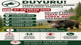 Akçakocada domuz avı yapılacak