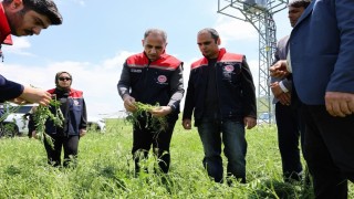 Akyakada dolu yağışı tarım arazilerini vurdu: Hasar tespit çalışmaları sürüyor