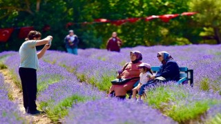 Altıeylülde mor şölen ilgi gördü