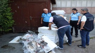 Antalya Otogarında balık operasyonu: 260 kilo ele geçirildi