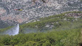 Antalyada ormanlık alanda çıkan yangın büyümeden kontrol altına alındı