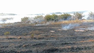 Antalya'da otluk alan yangını itfaiye ekiplerince söndürüldü