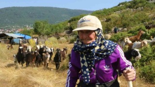 Antalyanın süper çobanı Emine Nine: 94 yaşında, 90 yıldır keçileriyle dağlarda