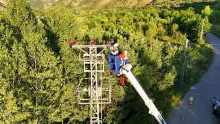 Aras Elektrikte çevre ve sürdürülebilirlik çalışmaları kararlılıkla sürdürülüyor