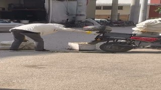 Arılar motosiklette oğul verdi