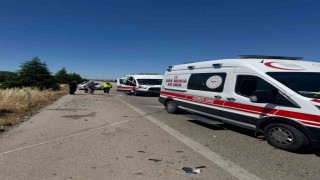 Arının neden olduğu kazada 1 kişi hayatını kaybetti, 4 kişi yaralandı
