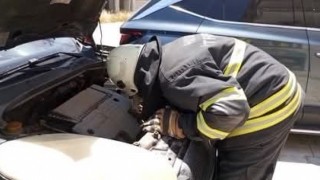 Arsuzda aracın motor kısmına giren yavru kedi kurtarıldı