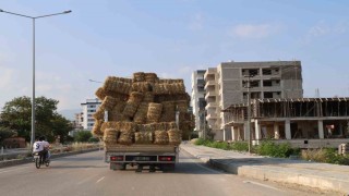 Aşırı saman yüklü pikabın trafikteki tehlikeli yolcuğu