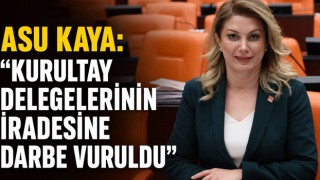 Asu Kaya: “Kurultay Delegelerinin İradesine Darbe Vuruldu”