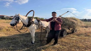 Atıyla doğaya çıkıp küçükbaş hayvanları için tırpanla ot biçiyor