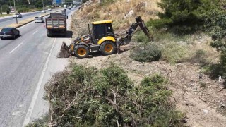 Aydın Orman İşletmeden yangınlara karşı yol kenarı temizliği