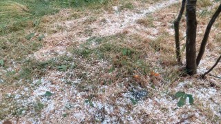 Aydında dolu etkili oldu, ağaçlar zarar gördü