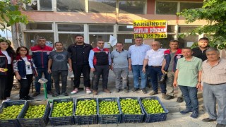 Aydında ilek pazarı denetimleri aralıksız sürüyor