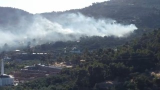 Ayvacıkta zeytinlik alanda çıkan yangın kontrol altına alındı