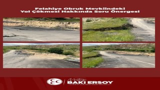 Baki Ersoy, Felahiyede çöken yolu TBMM gündemine taşıdı