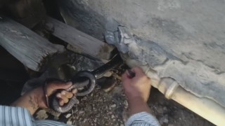 Bakmaya bile korkanlar varken o koluna dolanan 1 buçuk metrelik 2 yılanı saklandığı delikte yakaladı