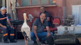 Balıkçı Ahmet ile leyleğin 10 yıllık kahvehane randevusu